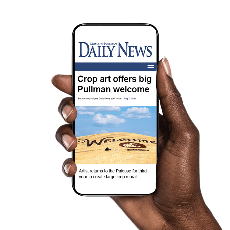 DailyNews Article announcing crop mural displayed on mobile phone